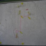 ○避難経路の確認